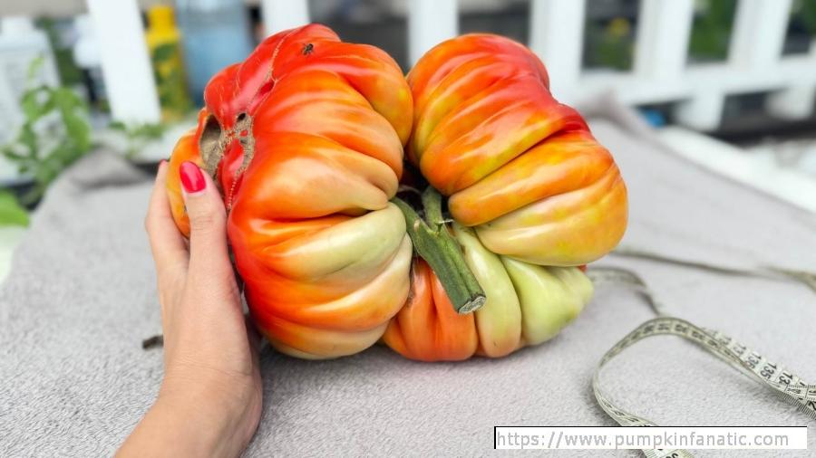 fruitImages/10.12 Priymak 2026B.jpg